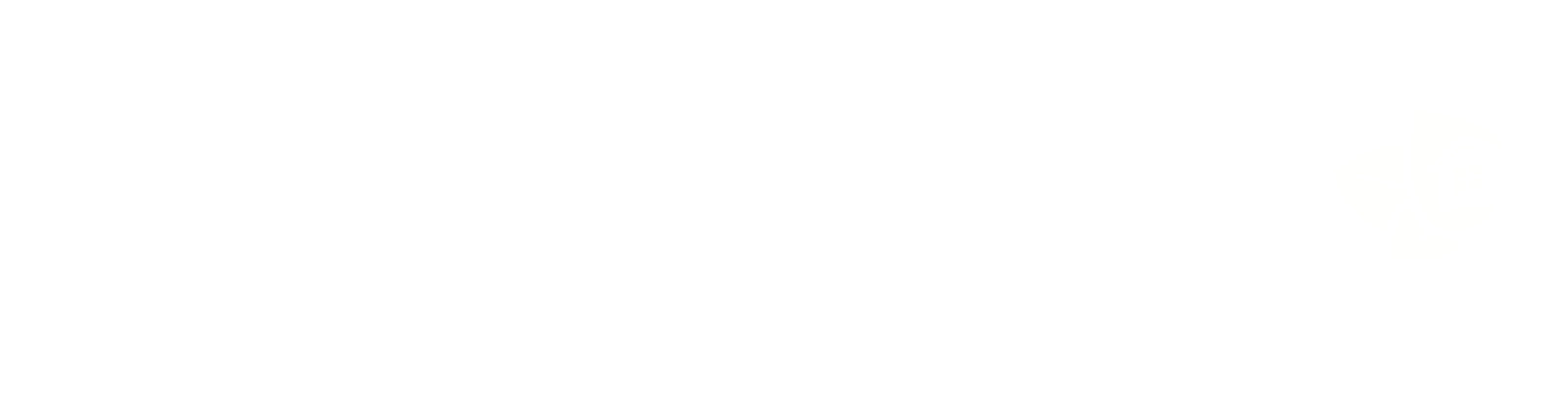 PartnerFest%20Logo%20white.png
